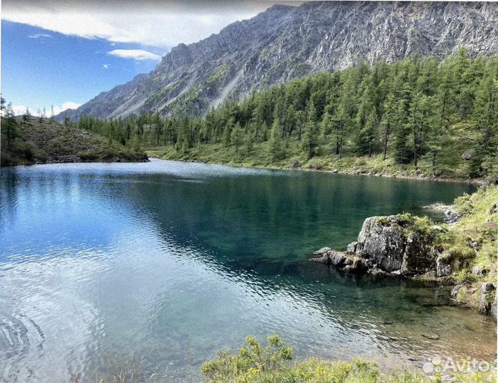 Тур путевка на Алтай летом программа 4-7 дн