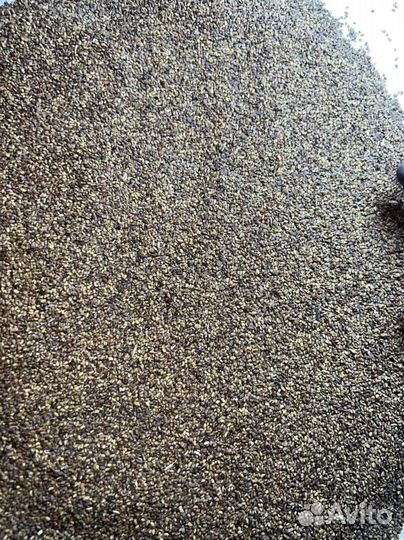 Семена люцерны