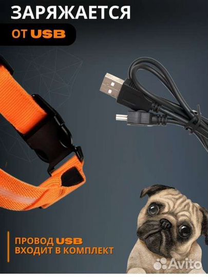 Ошейник светодиодный, новый