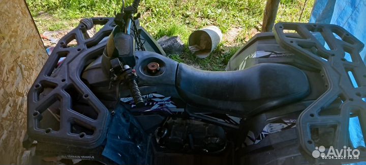 Avantis hunter 200 big