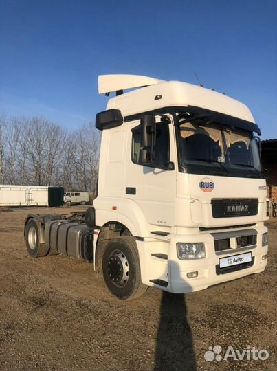 КамАЗ 5490 NEO 2, 2022