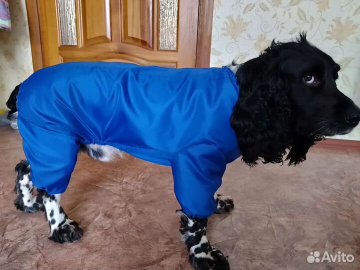 Дождевик комбинезон для собаки