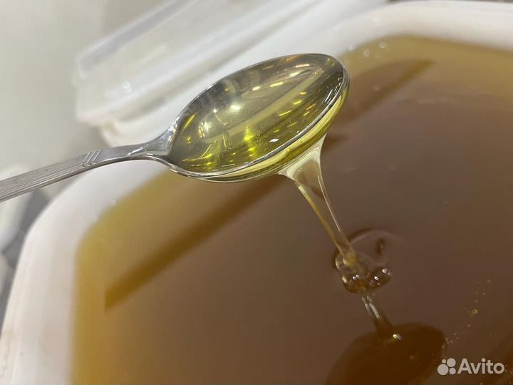 Свежий мед майский оптом