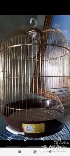 Новые большие клетки для попугаев