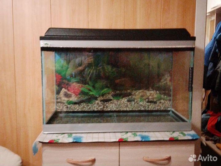 Аквариум 120 литров
