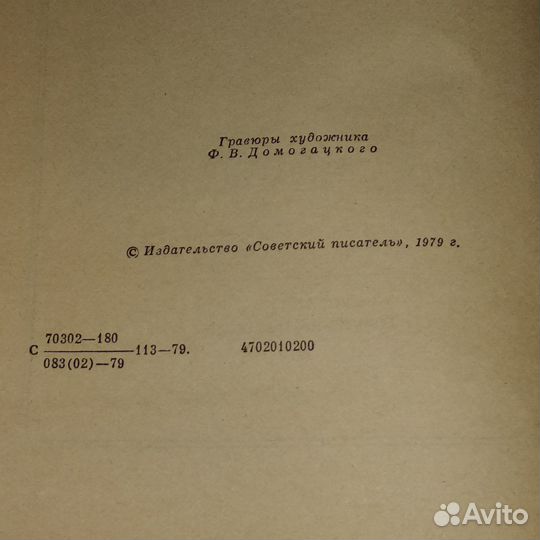 Василий Субботин,Роман от первого лица