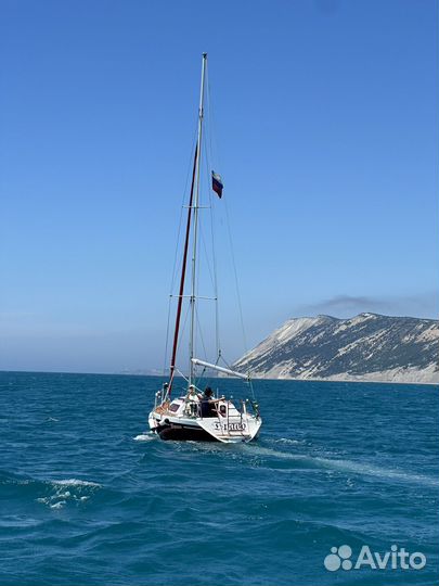 Морские прогулки