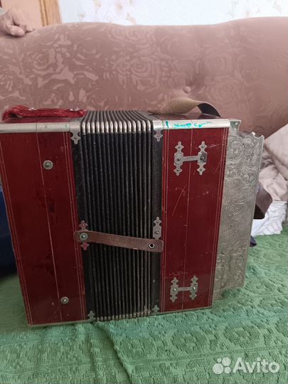 Гармонь заказная