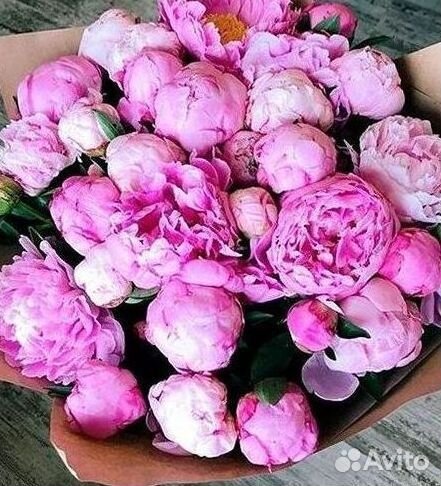 Пионы Букет пионов