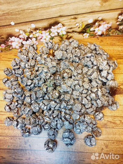 Корилус, спилы, шишки, тейп лента, каркасы