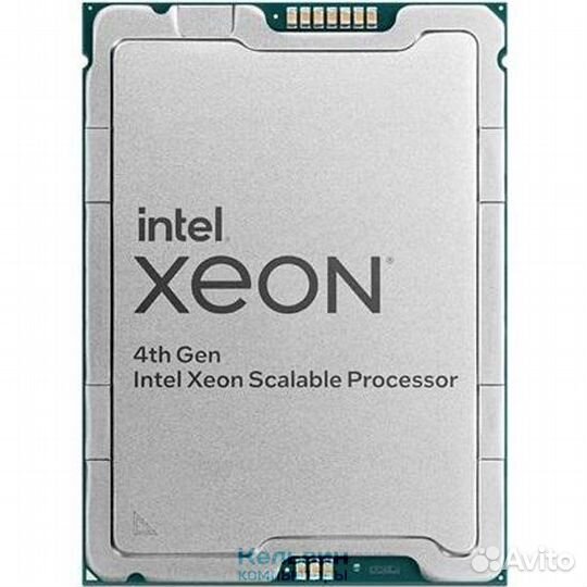 Intel Xeon gold 6444Y OEM