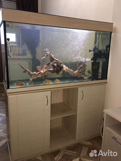 Аквариум 260л. с тумбой. Новый не б/у. Гарантия