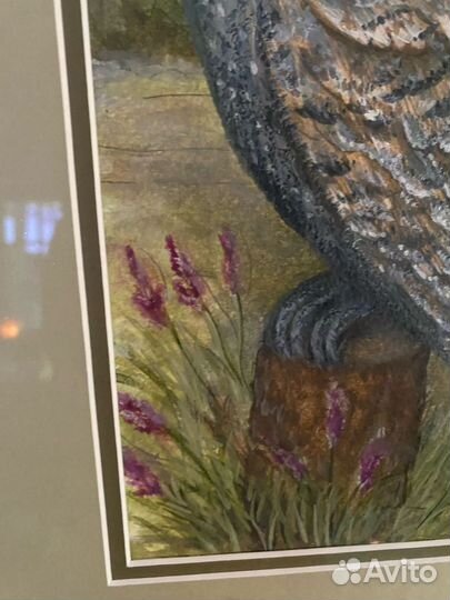 Акварель сова