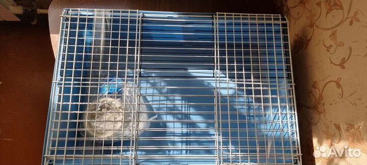 Клетка для грызунов ferplast