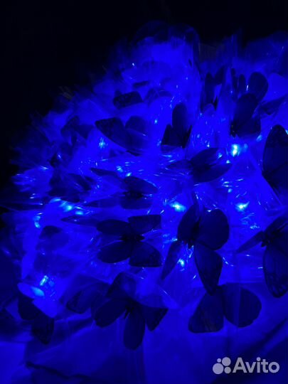 Букет из бабочек