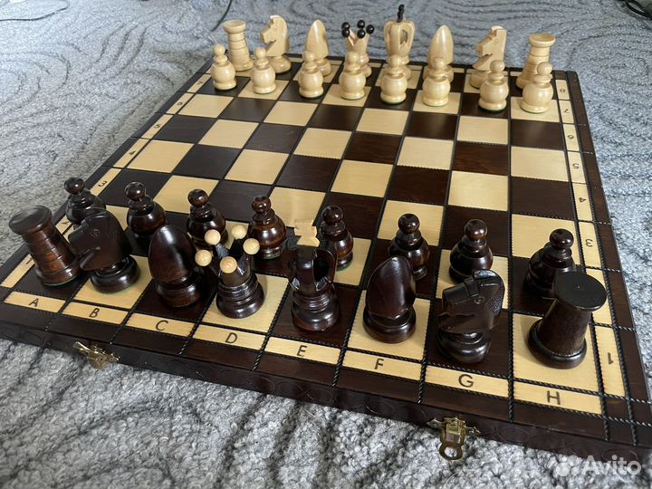 Шахматы