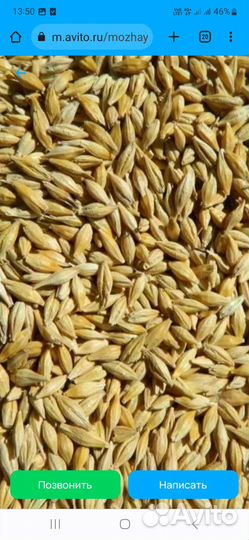 Продается зерно