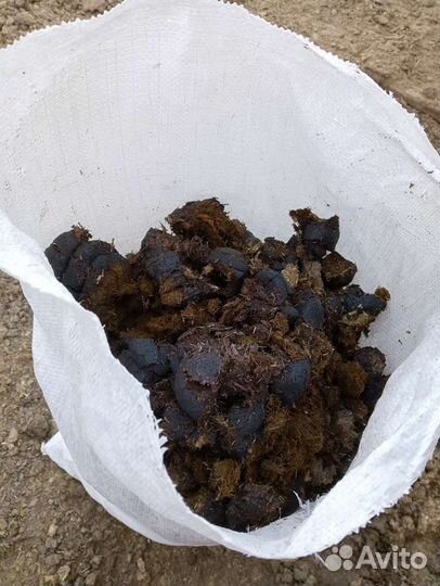 Навоз конский в мешках