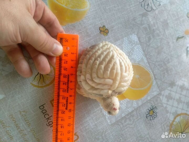 Черепаха из ракушек