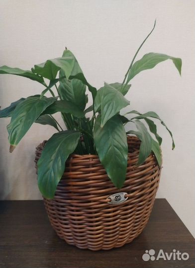 Кашпо из ротанга 12 литров