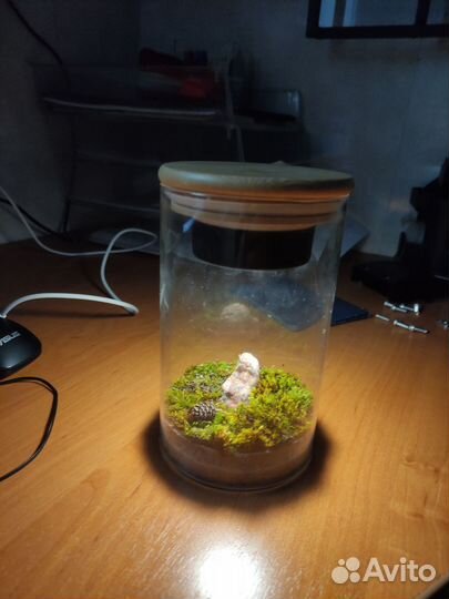 Флорариум, мохариум