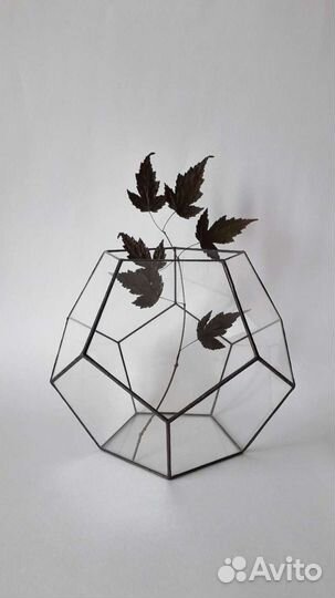 Флорариум. Стеклянная Ваза