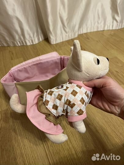 Chi chi love собачка