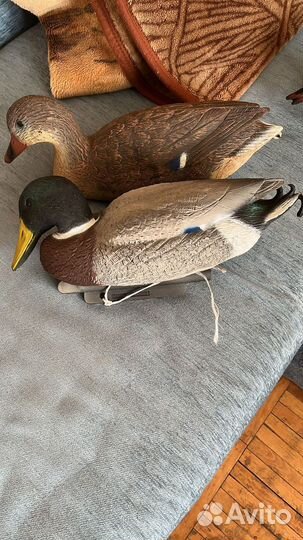 Чучела уток для охоты
