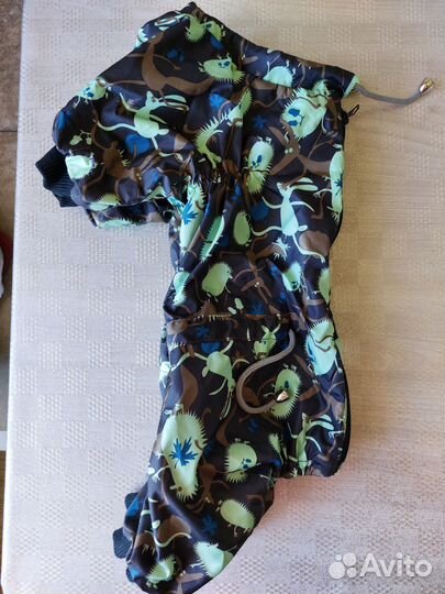 Одежда для собак