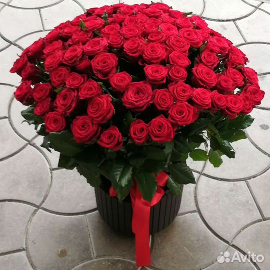 101 роза 50см