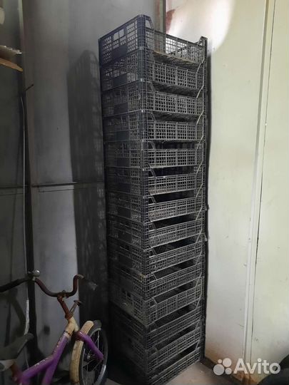 Пластиковые ящики для хранения овощей и фруктов