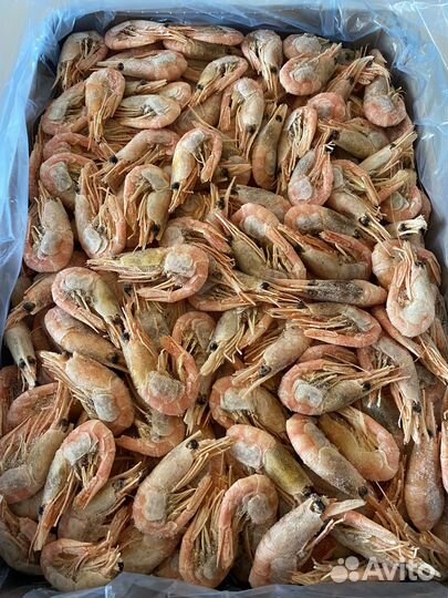 Креветка северная икряная