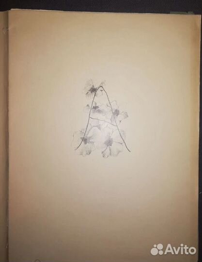 Книга Jaroslav Durych иллюстрации Прага 1927