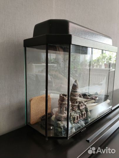 Аквариум
