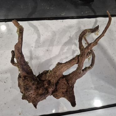 Коряга в аквариум