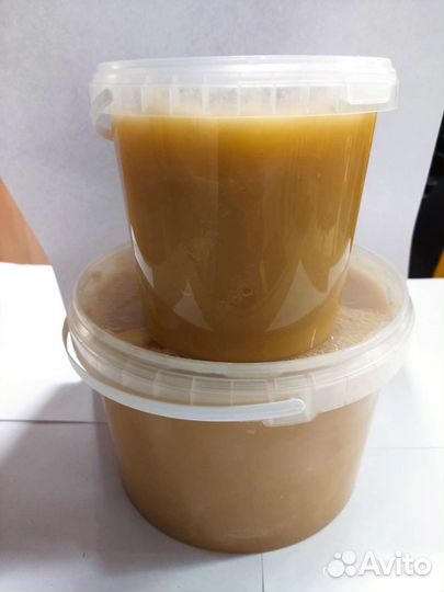 Мед свежий 2022