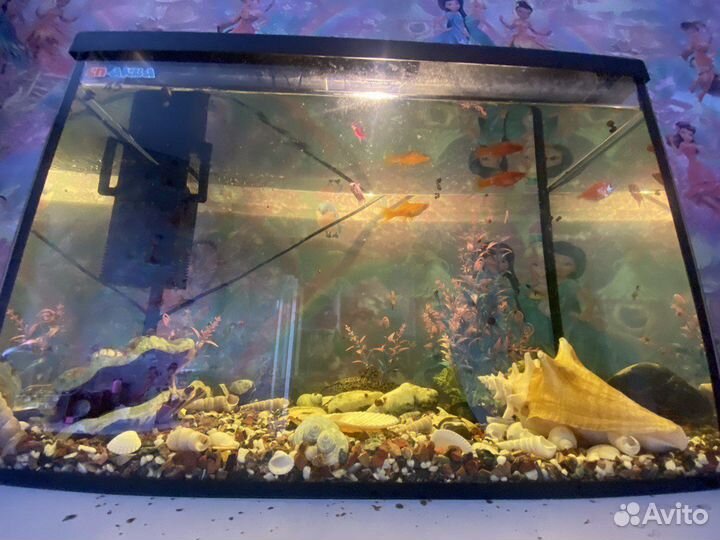 Продаю аквариум с рыбками