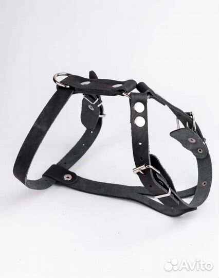 Шлейка для средней собаки