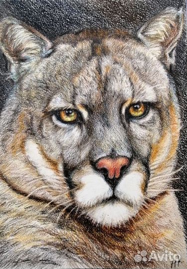 Интерьерная картина