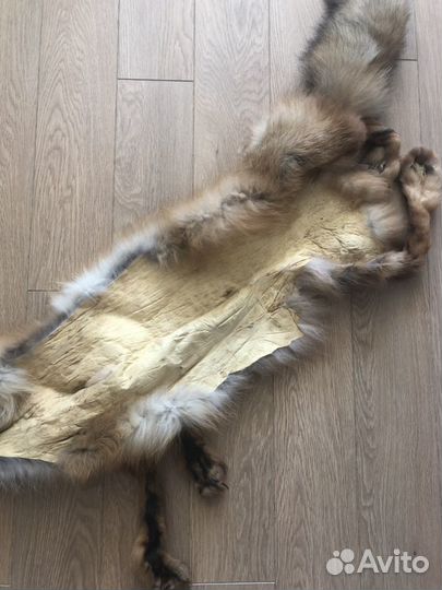 Шкура лисы