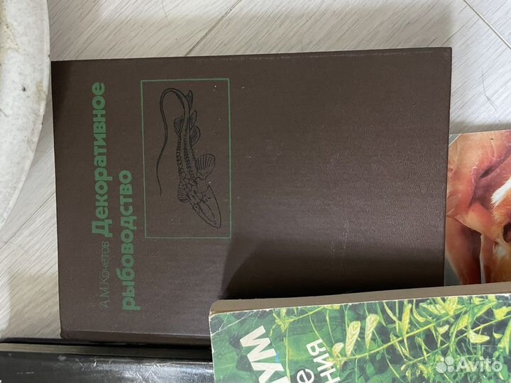 Книги о рыбах домашних животных еде здоровье