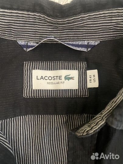 Рубашка мужская Lacoste