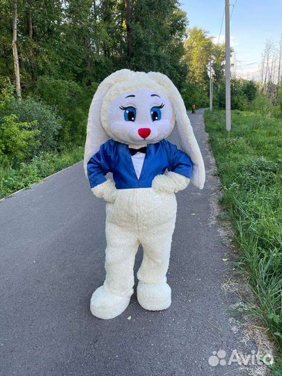 Ареда костюма ростовой куклы Зайка и Мишка