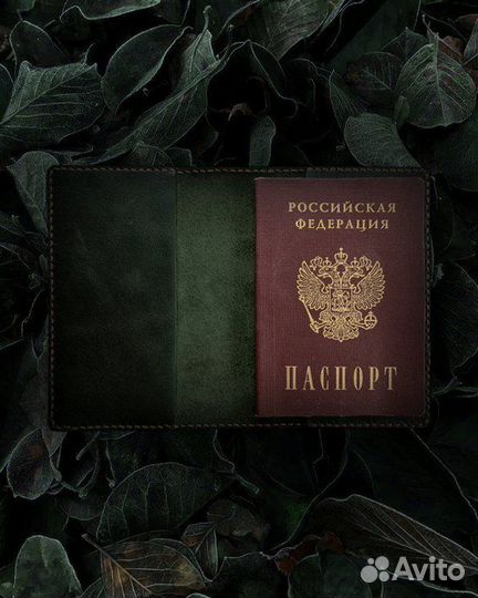 Обложка на паспорт Робин