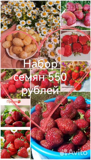 Семена клубники набором