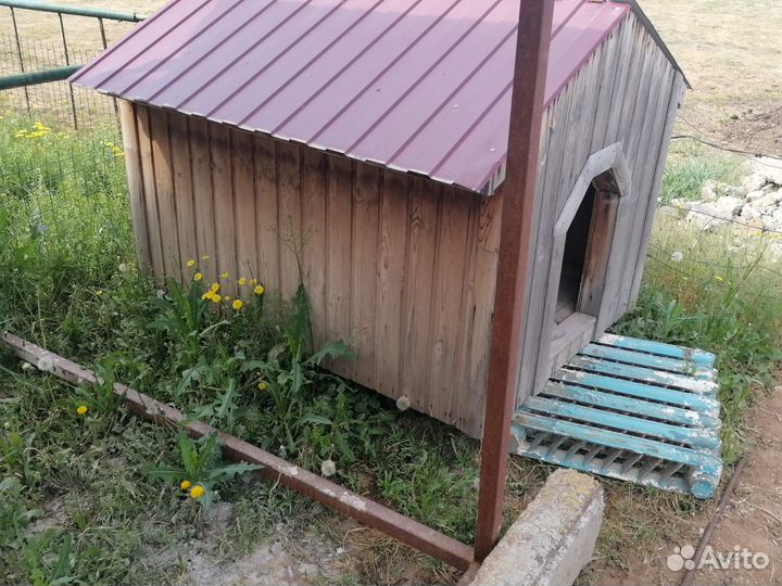 Будка для крупной собаки, утеплена пенопластом