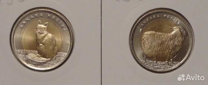 Красная Книга -Казахстан