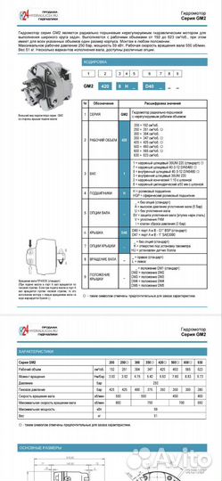 Гидромотор SAI GM2-250