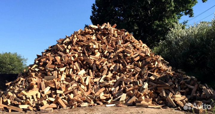 Кора березы