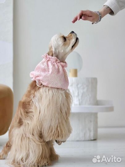 Шапка снуд для собак